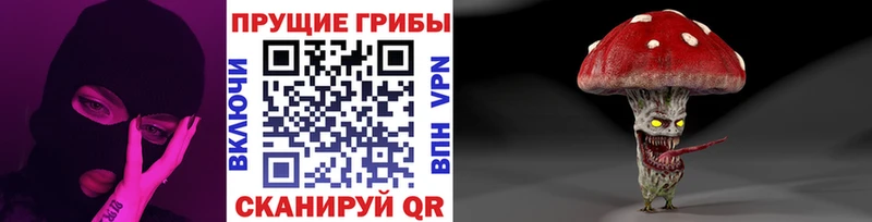 Псилоцибиновые грибы ЛСД  Нерчинск 
